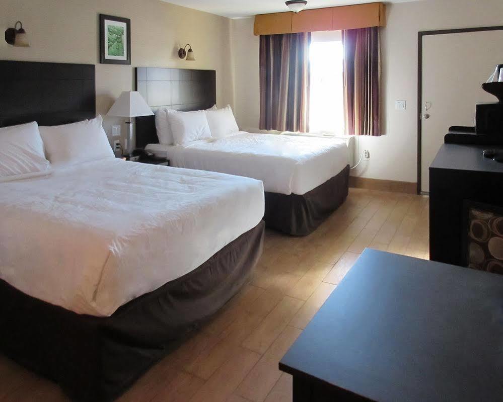 Quality Inn & Suites Bakersfield Ngoại thất bức ảnh