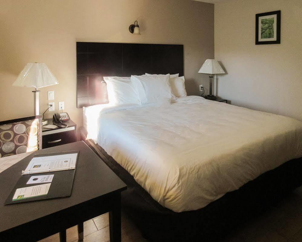 Quality Inn & Suites Bakersfield Ngoại thất bức ảnh